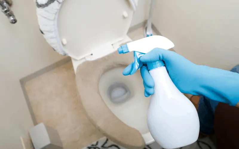 Effects of Using Bleach On RV Toilet
